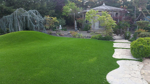 The Most Frequently Asked Questions About Artificial Grass