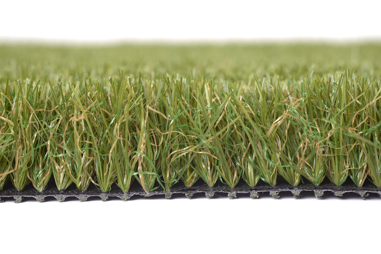 183SG Summer Rye