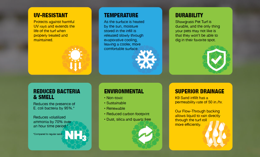 K9 Sand: The Perfect Solution!