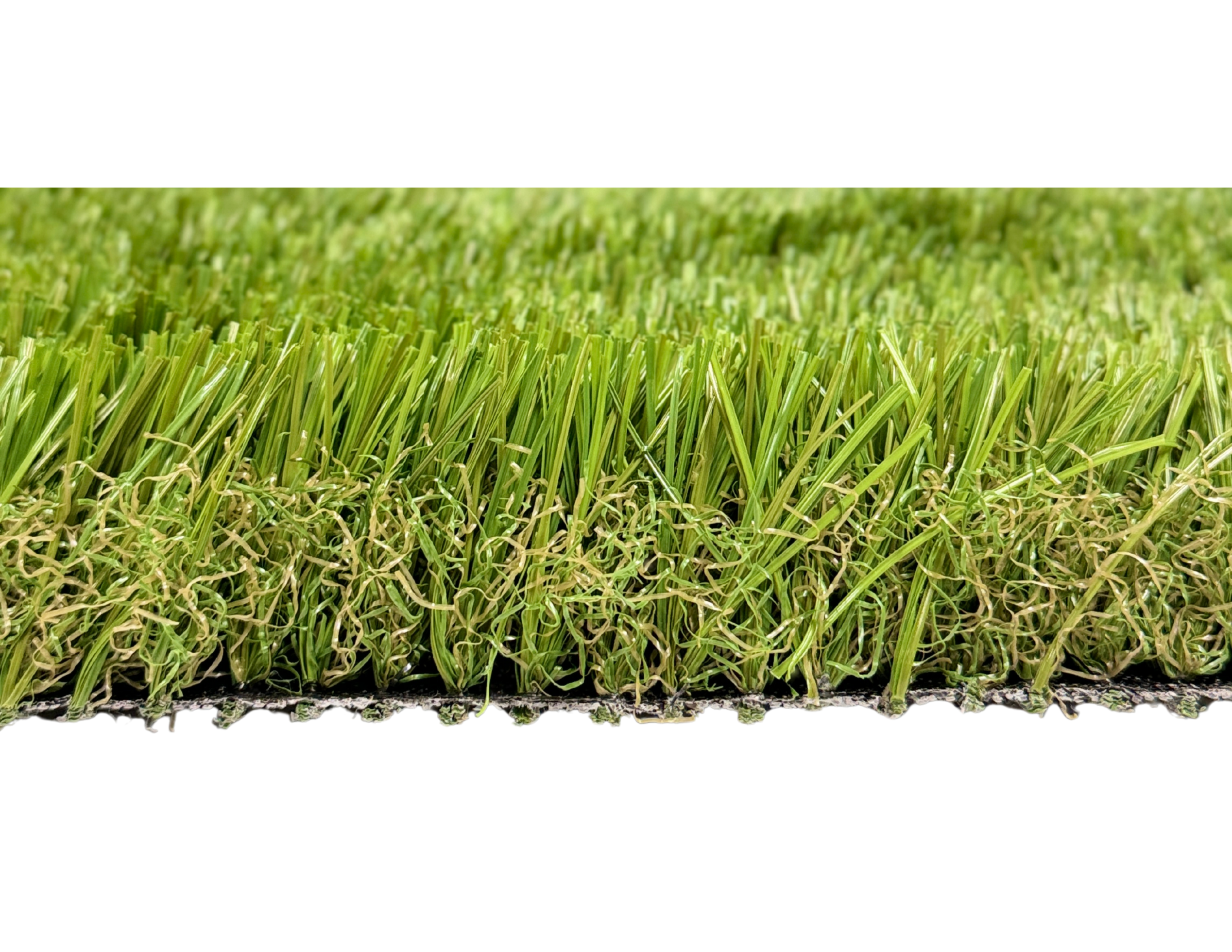 468SG Foundations Freedom