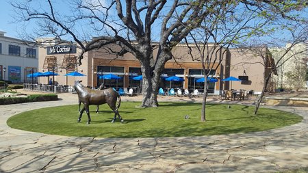 Mi-Cocina-Restaurant-Allen-Tx-3-23-2017.jpg