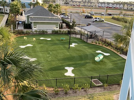 Bermuda-K9-Installed-by-Collins-Turf-in-Jacksonville-Fl-4.jpeg