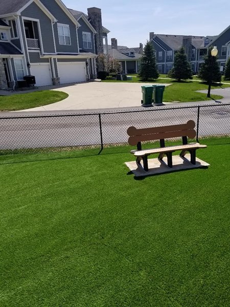pet-turf-in-OH-by-beach-bum-6.jpg
